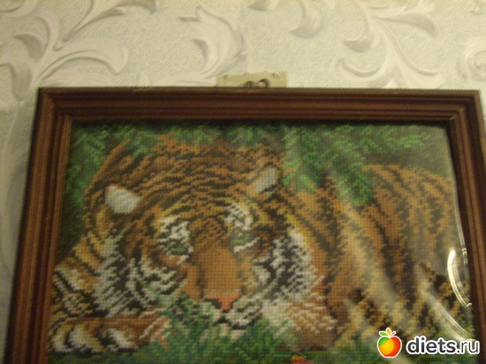 11 ����: �����