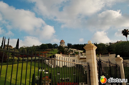 21 ����: �������