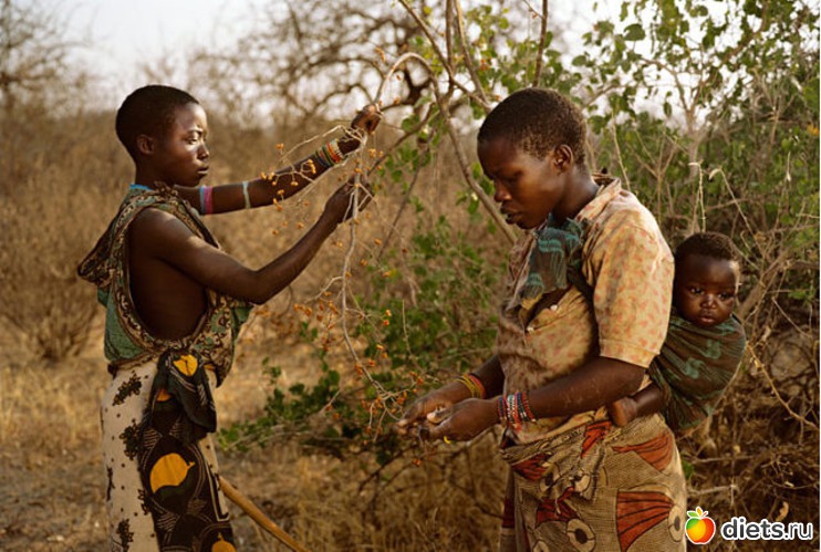 23 фото: Африканская красота