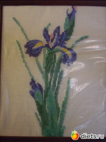 20 ����: �����