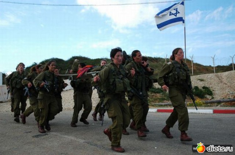 44 ����: �������