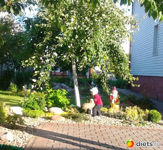 6 ����: ��� �����!