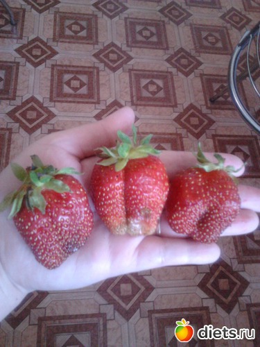 1 ����: ��� �����!