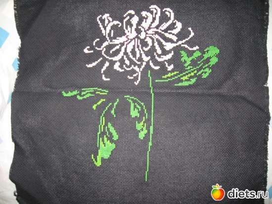 5 ����: ��� ������!