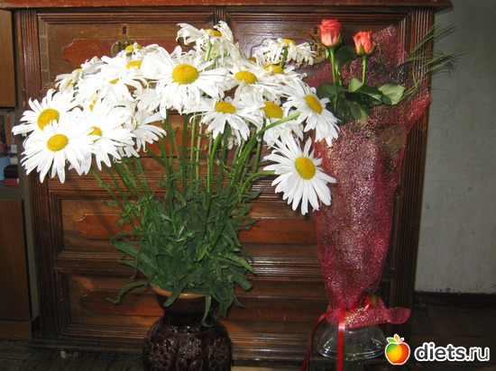 ��� ��������, ������: ��� 41!!!