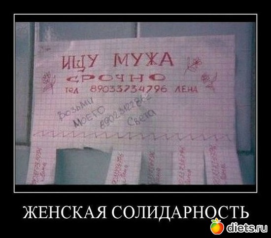 4 ����: ������ � �����