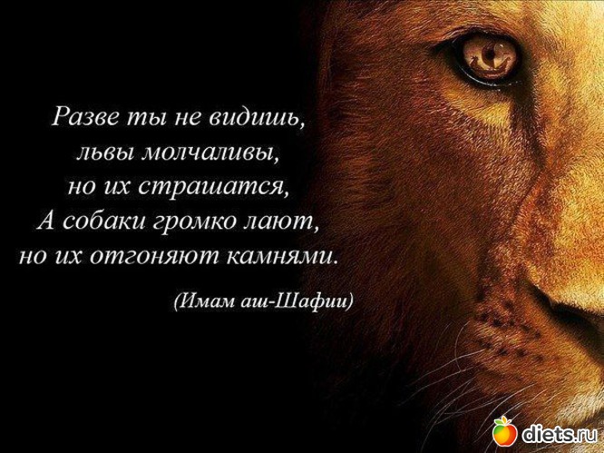 38 ����: ����������