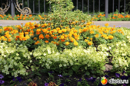 4 ����: � ����� ���������������