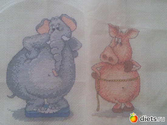 24 ����: �����