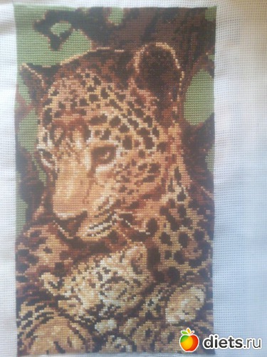 26 ����: �����