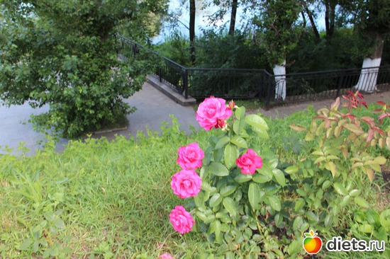 11 фото: я учусь фотографировать