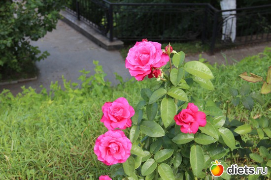 12 фото: я учусь фотографировать