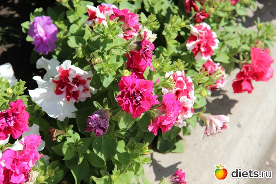 18 фото: я учусь фотографировать