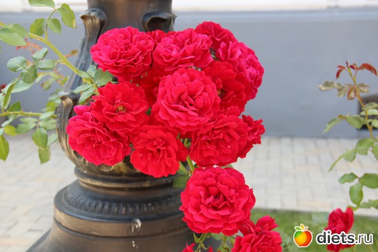 19 ����: � ����� ���������������