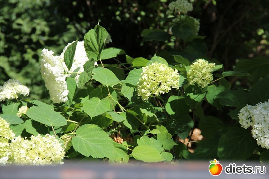 21 фото: я учусь фотографировать