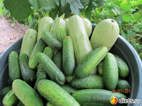 6 ����: ���-������