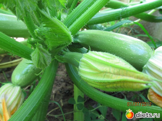 7 ����: ���-������