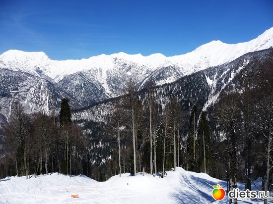 1 ����: ����. ������� ������