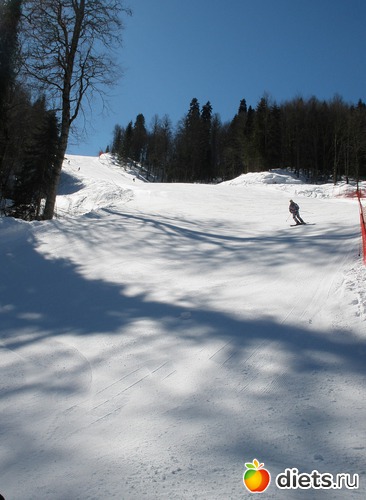 8 ����: ����. ������� ������