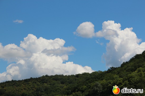 23 фото: я учусь фотографировать