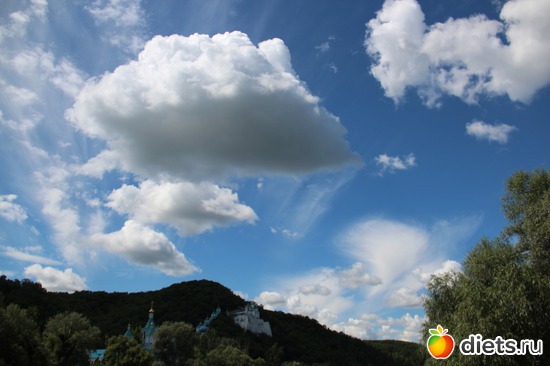 28 фото: я учусь фотографировать