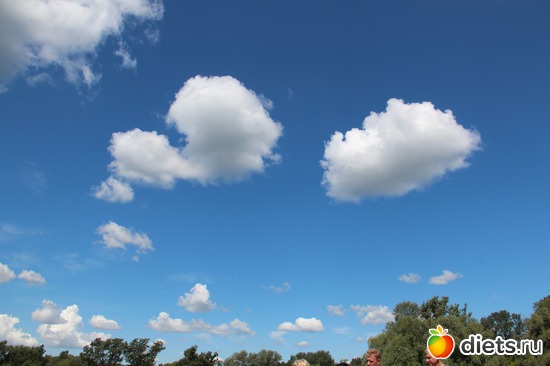 34 фото: я учусь фотографировать