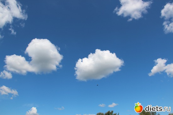 35 фото: я учусь фотографировать