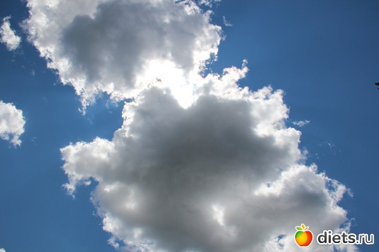 38 фото: я учусь фотографировать