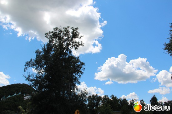 41 ����: � ����� ���������������