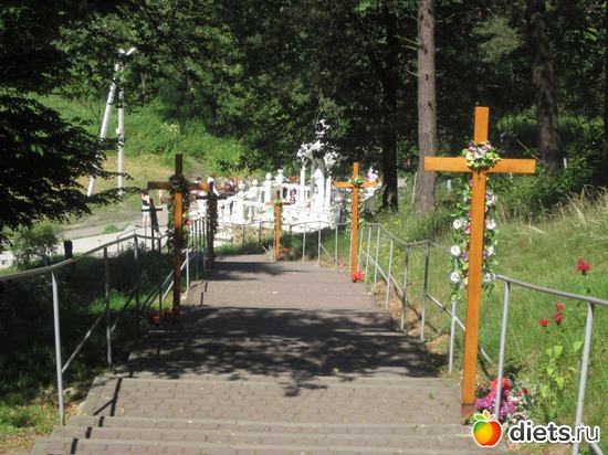 1 ����: �������