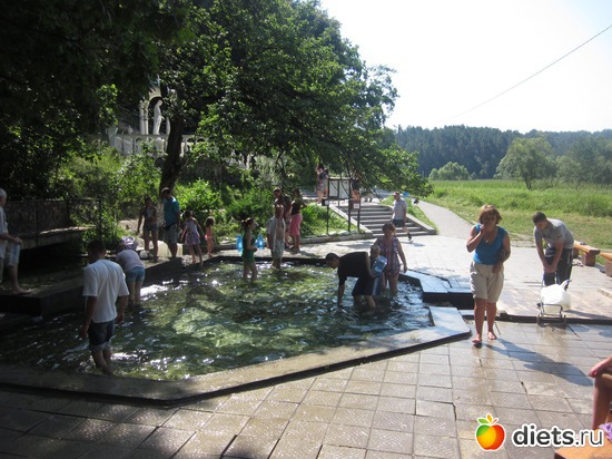 5 ����: �������