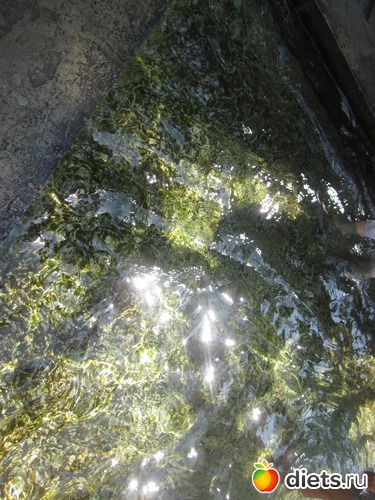 7 ����: �������