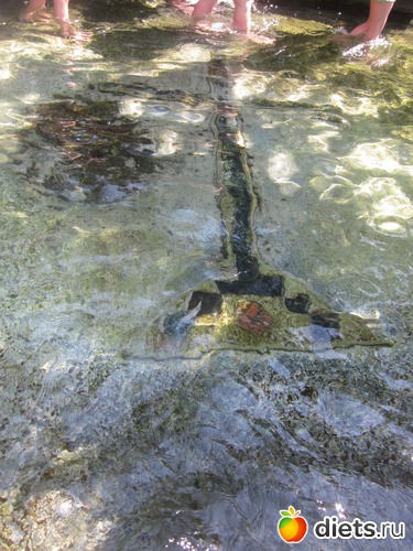 ������� �����, ������: �������