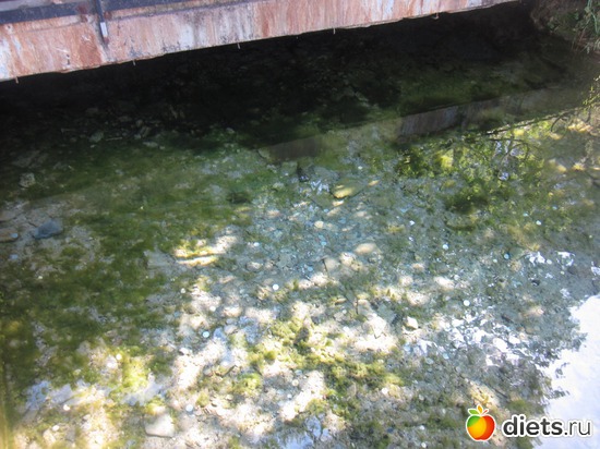 9 ����: �������