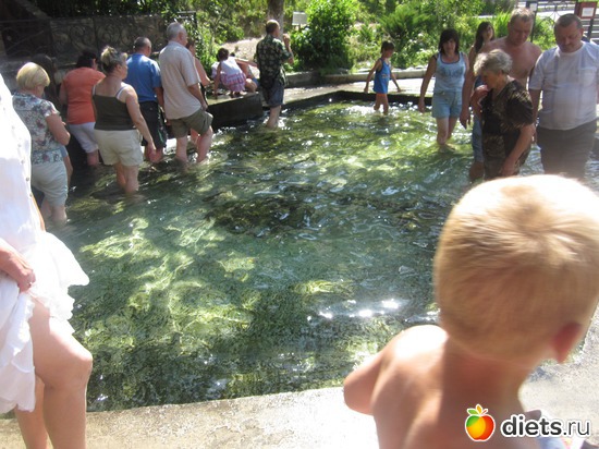 11 ����: �������