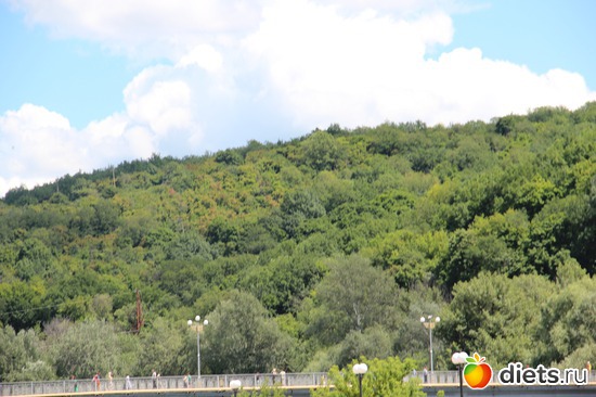 43 ����: � ����� ���������������