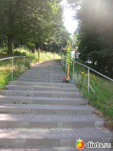 149 �������� ����� � ������, ������: �������