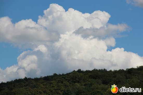 44 ����: � ����� ���������������