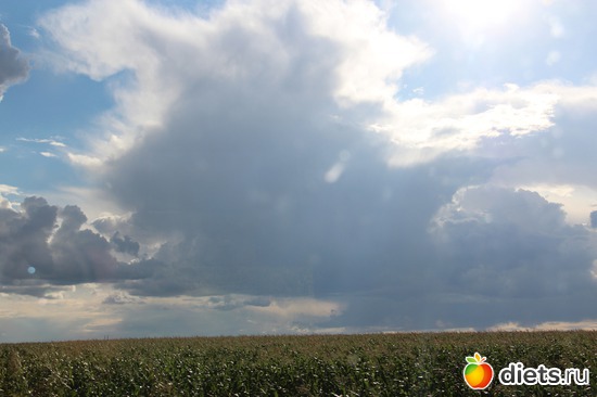 45 ����: � ����� ���������������