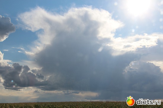 47 фото: я учусь фотографировать