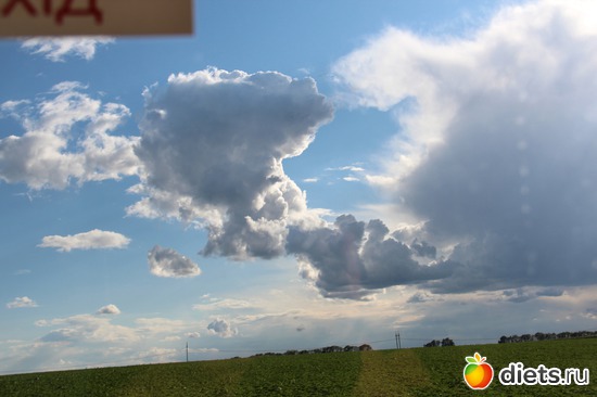 48 фото: я учусь фотографировать