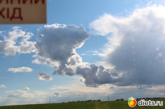 49 фото: я учусь фотографировать