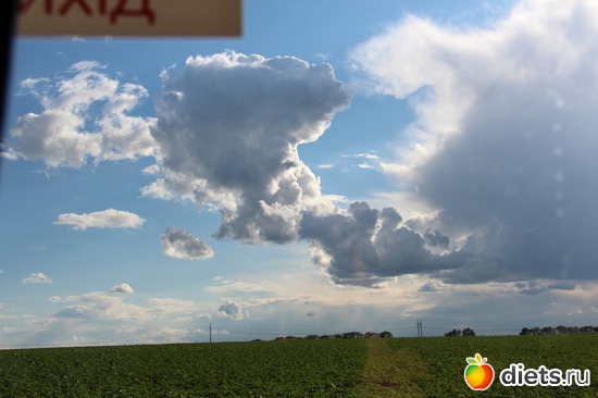 50 ����: � ����� ���������������