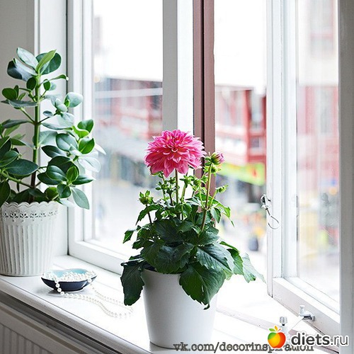 43 фото: Интерьеры