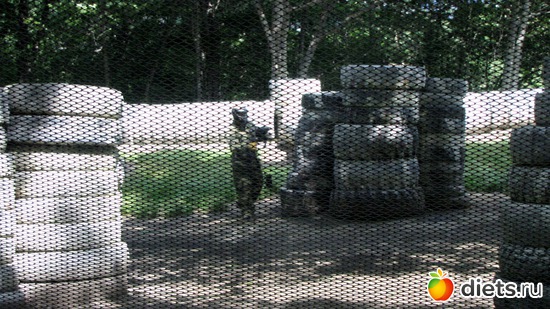 6 фото: пейнтбол