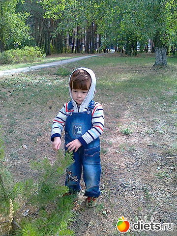 Ярославчик