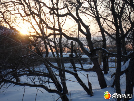 8 фото: Солнце