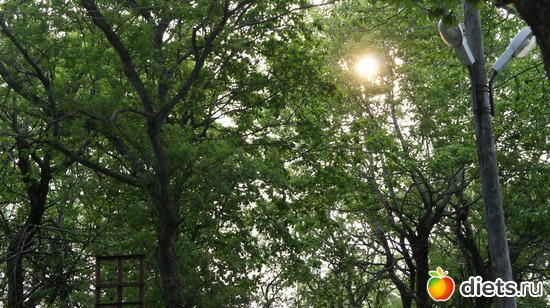 Солнце любви свтит для всех..., альбом: Солнце