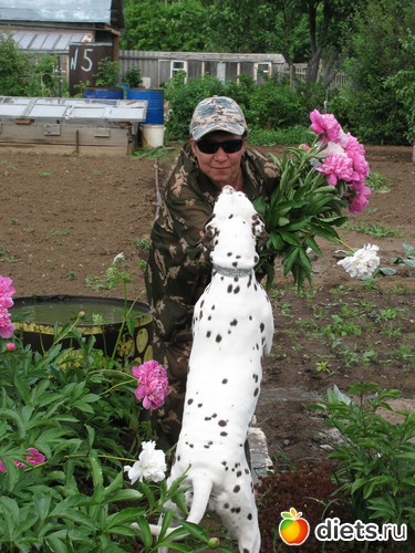 4 ����: ������ � �� �����