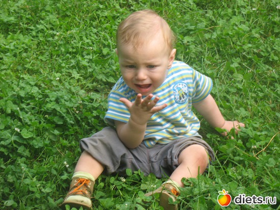 7 фото: Ах,лето....